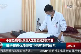 中医药振兴发展重大工程实施方案印发视频封面
