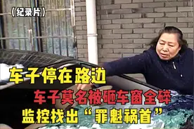 车子停在路边，车子莫名被砸车窗全碎，监控找出“罪魁祸首”！视频封面