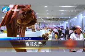 河南景区开园迎新春，春节期间免费！景区：错峰游玩 做好防疫！视频封面