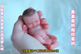 这看着像未满月的小娃太可爱了，不注意看还真像个小孩子视频封面