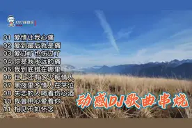 11首好听的网红动感DJ歌曲串烧
