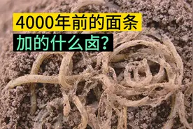 中国人早在4000年前就开始“嗦面”了！视频封面