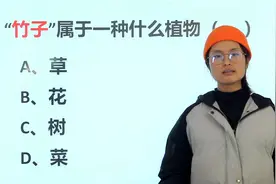 教师资格考试题：“竹子”属于一种什么植物，花，草，还是树？