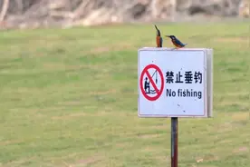 路亚为什么禁钓？看完秒懂。#路亚 #2023dou来钓鱼 #钓鱼视频封面