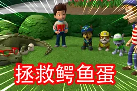 汪汪队立大功：狗狗们拯救咕咕鸡的蛋，最后才知道竟是一颗鳄鱼蛋视频封面