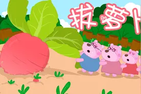 经典绘本故事——拔萝卜！小熊贝拉一家来帮忙视频封面