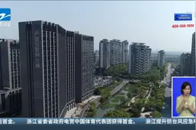 杭州市临平区召开第一次新闻发布会  发布第一个五年计划视频封面
