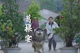 葛根粉来做的菜，你们吃过几种？芋头葛根包，你们一定要试试……