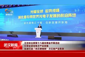 王忠林出席第十八届光博会开幕活动视频封面