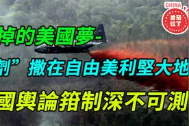 【鲸的浅见】“橙剂”撒在自由美利坚大地，美国舆论控制深不可测视频封面