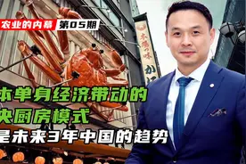 日本单身经济带动的中央厨房模式，将是未来3年中国的消费趋势视频封面