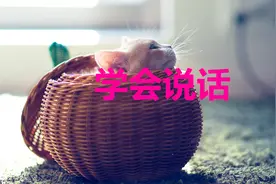 做人，请学会说话：太直会伤人，太真会伤已视频封面