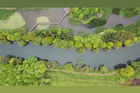 贵阳花溪十里河滩湿地城市公园，踏青一个负氧离子浓度很高的地方视频封面