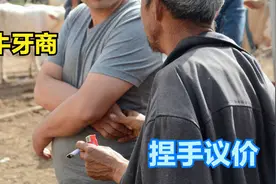捏7叉8勾9，嵩县黄牛市场神秘的牛经纪，衣服袖子里摸手议价视频封面
