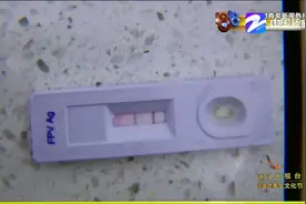 线上交易布偶猫 几天后猫就死了 绍兴姑娘直呼卖病猫要曝光商家！视频封面