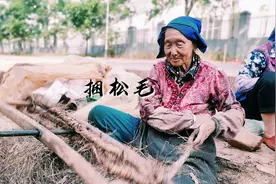 八十岁老奶奶捆松针，每天可以挣20元零用钱。视频封面