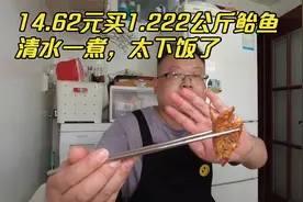 山东烟台：14元买2斤多鲐鲅鱼（青花鱼），清水一煮，太下饭了！视频封面