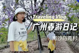 粤语：春游广州乡村，意外遇见盛放的紫荆花海，粉红色，十分浪漫视频封面