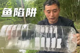 十年没捕捞的长河鱼群泛滥，大叔用油桶制作陷阱，抓到油桶粗的鱼视频封面