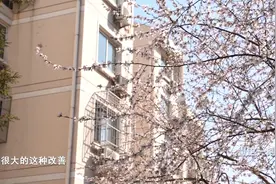 业主自费在公共绿地种花草却被物业拔除了 对簿公堂到底谁有理？视频封面