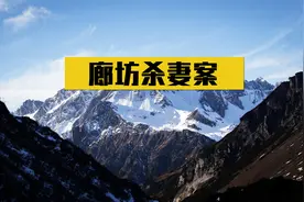 轰动全国的廊坊杀妻案！他将妻子做成红烧肉，居然送给丈母娘吃视频封面