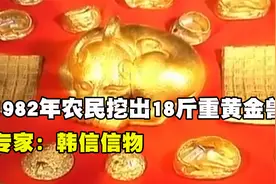 1982年江苏农民锄地挖渠，挖出18斤重“黄金兽”，专家：韩信信物视频封面