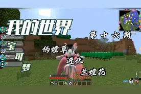 我的世界宝可梦十六期：伪螳草进化兰螳花，堕皓抓到雪童子