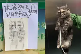 猫咪离家出走失败，保安小哥贴素描画找主人，看清画像后网友乐了视频封面