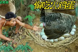 丛林美食：二柱子趁火鸡不注意，把它全家一个不落带回家，煮了！视频封面