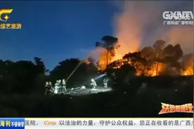 北海：冠头岭突发森林大火，消防连续奋战6小时，成功将火扑灭