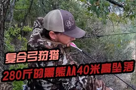 一头重达280斤的黑熊，从40米高掉落，还能活吗视频封面