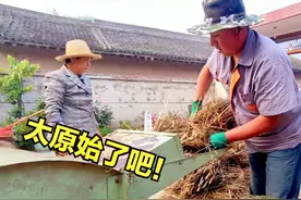 实拍：甘肃农民打麦子，传统老方法，这场面经历过吗？视频封面