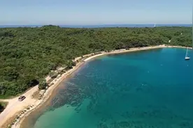 历史：前中顾委常委李一氓讲述皖南事变真相：谁坑了新四军视频封面