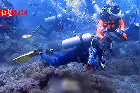男子菲律宾潜水多次关掉潜友气瓶 多名受害者讲述经过
