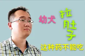 小狗拉肚子，这种药一定不能给它吃视频封面