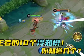 目前王者的10个冷门小知识，减速的上限只有90%？视频封面