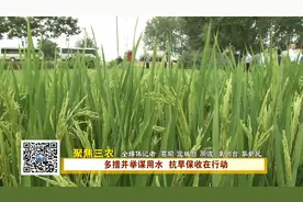多措并举谋用水  抗旱保收在行动视频封面