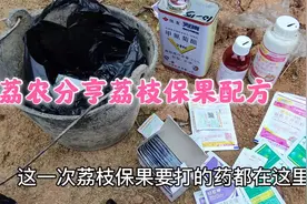 荔农分亨荔枝收花、并果后，打什么药可以杀虫、保果，座果更稳视频封面