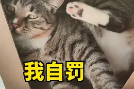 猫咪疯狂踹自己的头，他到底做错了什么？铲屎官：你接着演