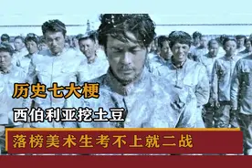 历史七大梗，考不上就 二战的美术生，樱花味的西伯利亚土豆视频封面