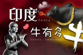 人乳喂牛，喝酒逛街，印度奉牛为神，不吃一口却是牛肉出口大国视频封面