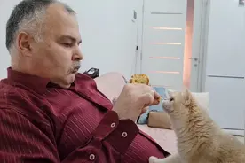 小猫咪为什么比较喜欢老人？原来是有原因的视频封面