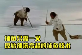原始部落高超的捕鱼技术，捕鱼只需一叉，生活用品用原始材料制作视频封面