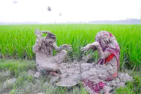 兄弟俩下地干活，弟弟被女孩吸引，一转头哥哥被泥土埋了视频封面