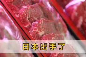 美日高层刚结束会谈，日本就提高美国进口牛肉关税，期限是30天视频封面