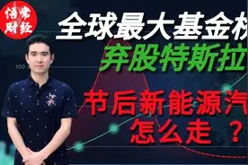 A股中新能源汽车板块在2021年注定不平凡,407只股票如何选择?视频封面