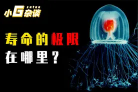 地球生物生命长度排行榜：你真以为这个世界上，不存在永生吗？视频封面