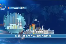 江夏区：推进“三区”战略 打造生态新城视频封面