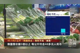43.5元1公斤！韩国民众：理财不如“理葱”