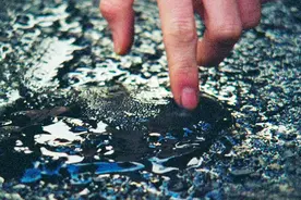 小镇现多起命案，现场有黑色液体，殊不知镇上藏着可怕怪物悬疑片视频封面